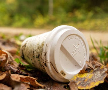Afval in de natuur