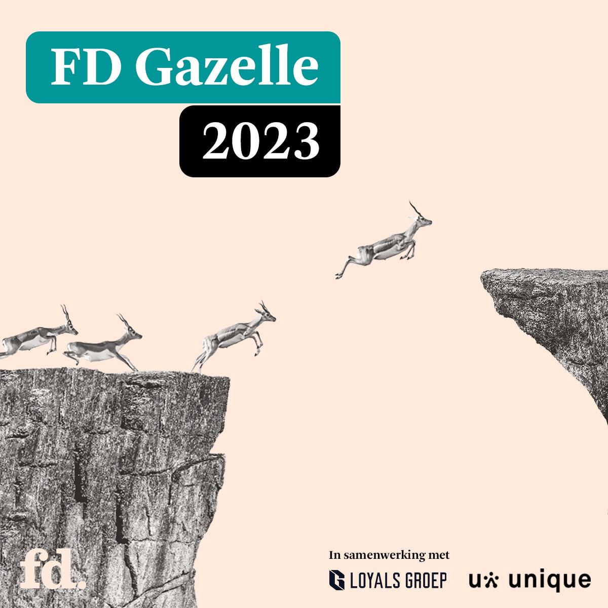 FD Gazellen award 2023