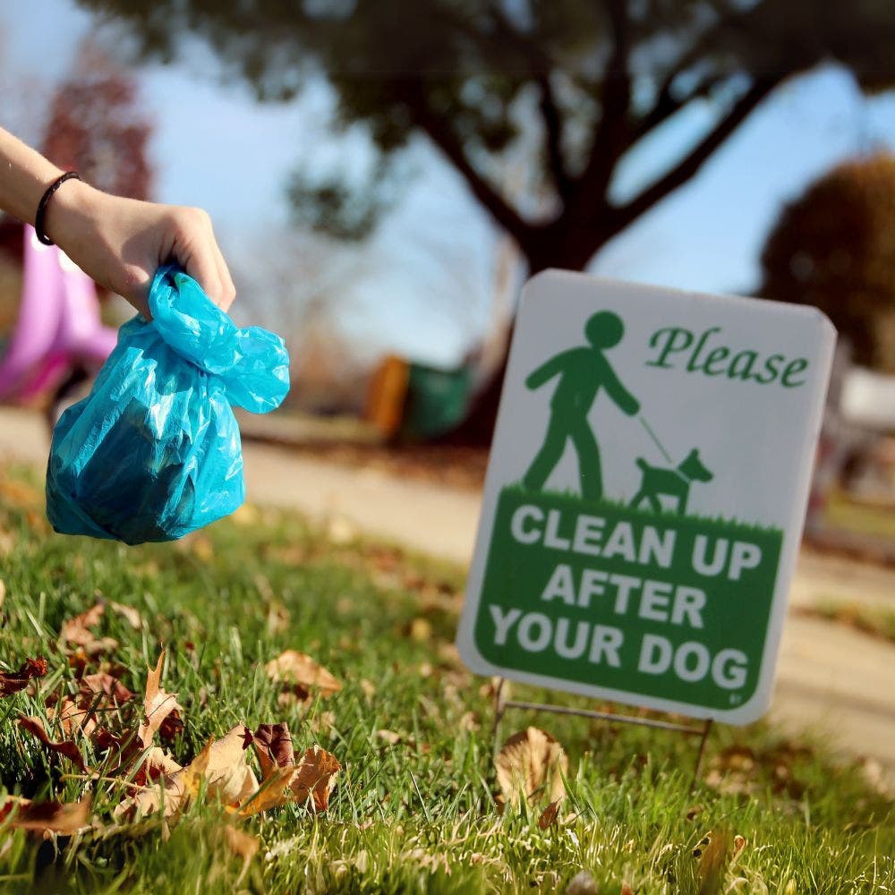 Please clean up after your dog