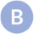 Afvalzakken Simplehuman code B